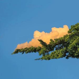 瘸蚀人漫画下拉式漫画
