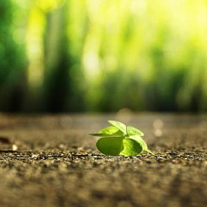 瘸蚀人漫画下拉式漫画
